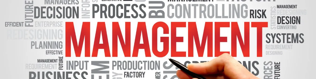 Business-and-Management
