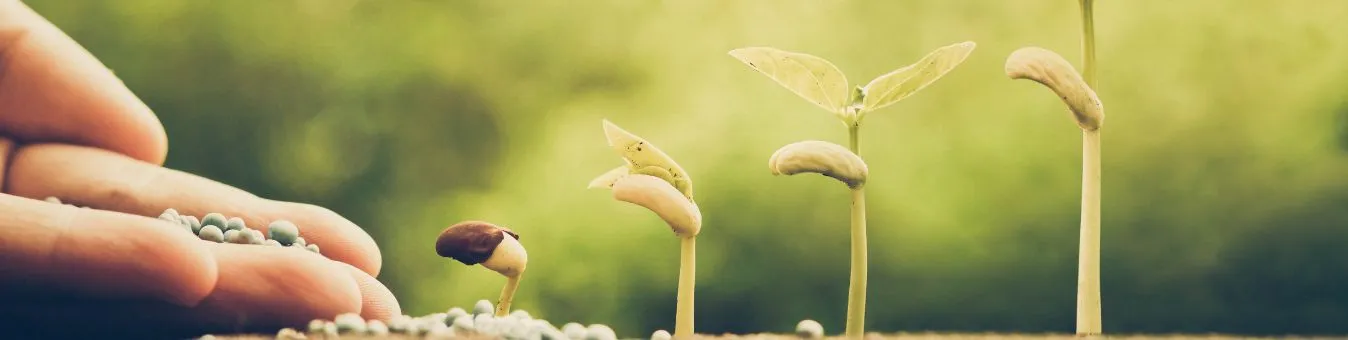 Forestry-_-Agricultural-Science